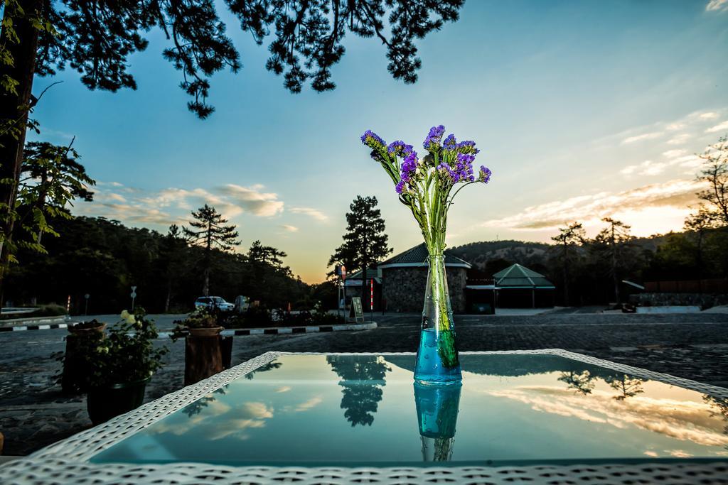 Troodos Hotel & Spa Bagian luar foto