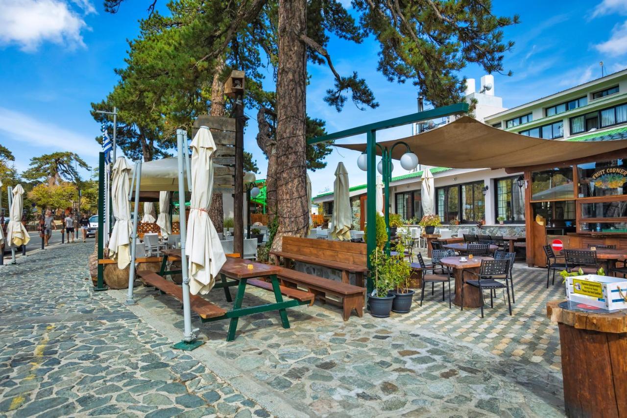 Troodos Hotel & Spa Bagian luar foto